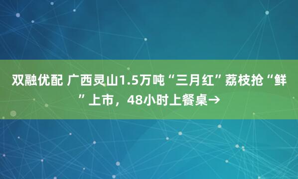 双融优配 广西灵山1.5万吨“三月红”荔枝抢“鲜”上市，48小时上餐桌→