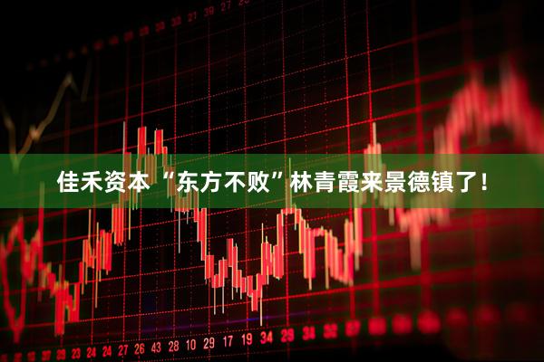 佳禾资本 “东方不败”林青霞来景德镇了！