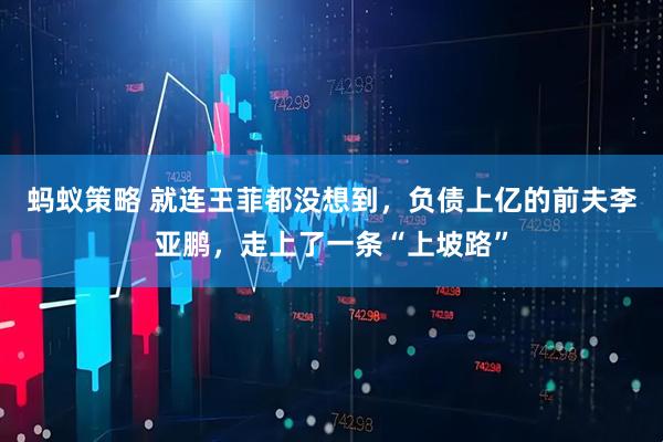 蚂蚁策略 就连王菲都没想到，负债上亿的前夫李亚鹏，走上了一条“上坡路”