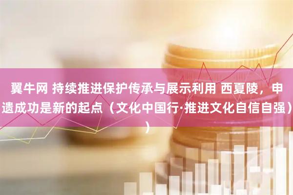 翼牛网 持续推进保护传承与展示利用 西夏陵，申遗成功是新的起点（文化中国行·推进文化自信自强）