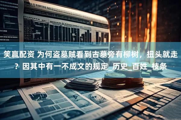 笑赢配资 为何盗墓贼看到古墓旁有柳树，扭头就走？因其中有一不成文的规定_历史_百姓_枝条