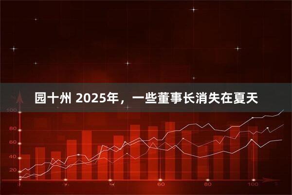 园十州 2025年，一些董事长消失在夏天