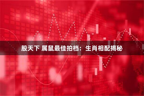 股天下 属鼠最佳拍档:生肖相配揭秘