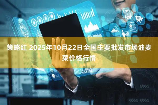 策略红 2025年10月22日全国主要批发市场油麦菜价格行情