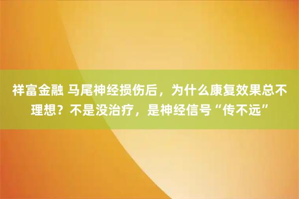 祥富金融 马尾神经损伤后，为什么康复效果总不理想？不是没治疗，是神经信号“传不远”