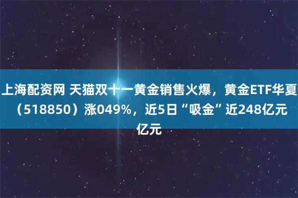上海配资网 天猫双十一黄金销售火爆，黄金ETF华夏（518850）涨049%，近5日“吸金”近248亿元